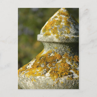 Lichen Covered Cemetery Obelisk Vykort