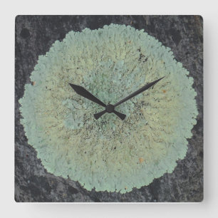 Lichen Mossy Circle Fyrkantig Klocka