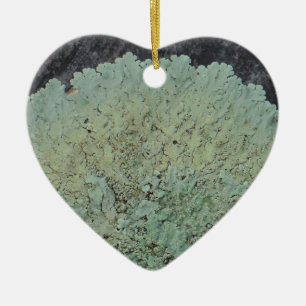 Lichen Mossy Circle Julgransprydnad Keramik