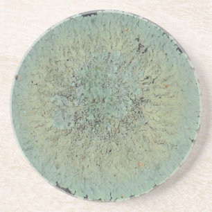 Lichen Mossy Circle Underlägg Sandsten