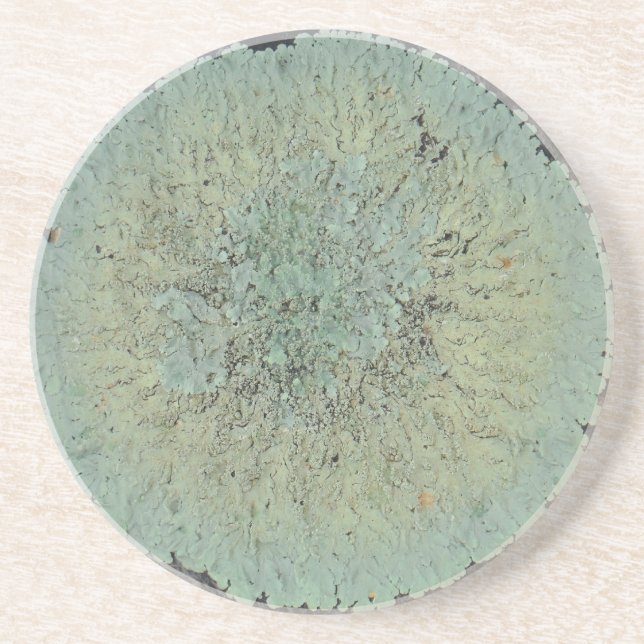 Lichen Mossy Circle Underlägg Sandsten (Framsidan)