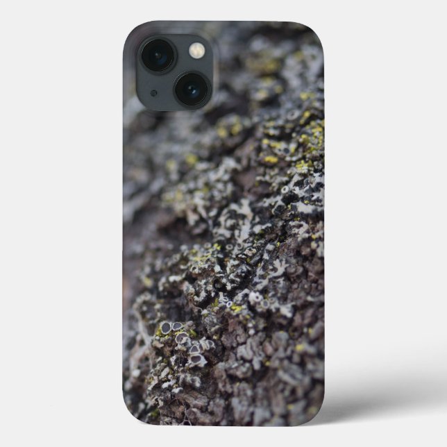 Lichen on Bark (Baksida)