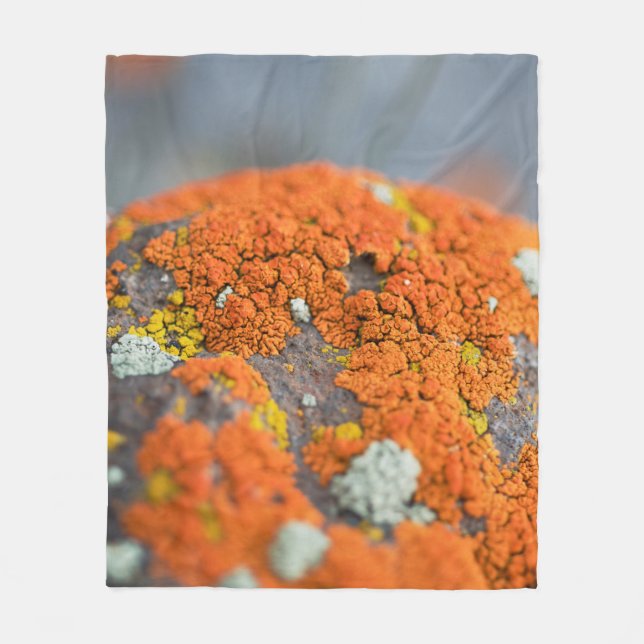 Lichen orange moss stone grått fleecefilt (Framsidan)