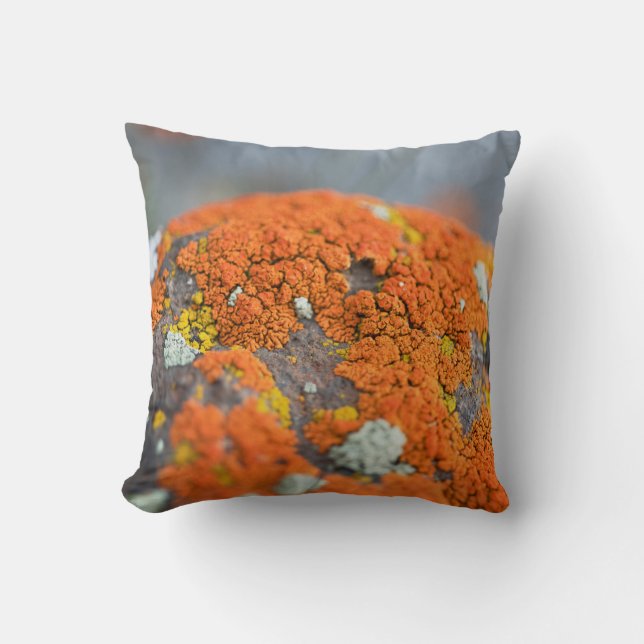 Lichen orange moss stone grått kudde (Framsida)