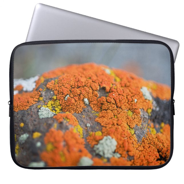 Lichen orange moss stone grått laptop fodral (Framsidan)