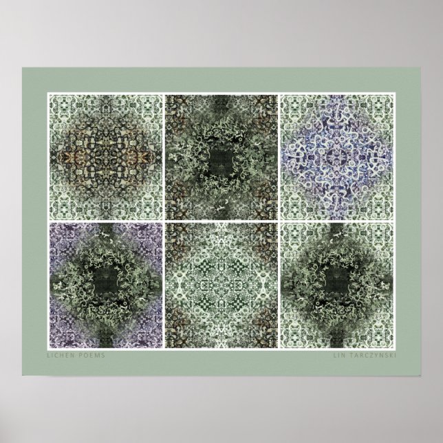 Lichen Poems Poster (Framsidan)