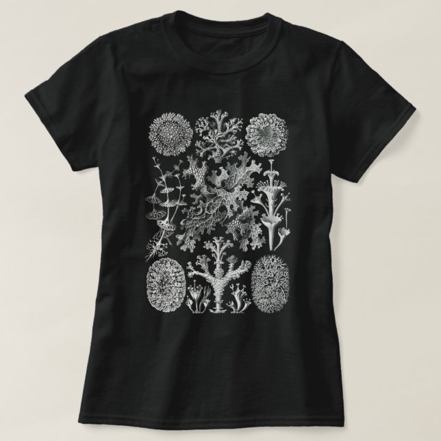 Lichenes Flechten T-Shirt (Design framsida)