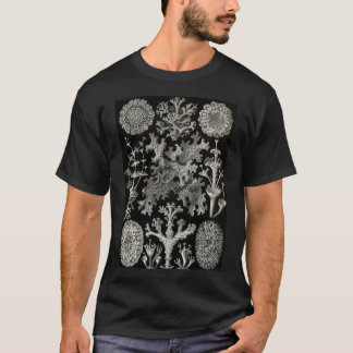 Lichenes (Thallophytes - Lichens) - Ernst T Shirt