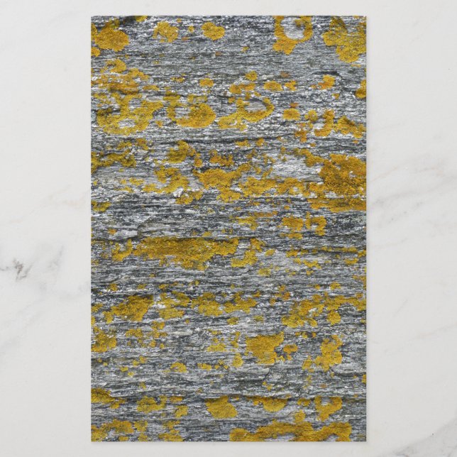 Lichens sur pierre de granit brevpapper (Framsida)