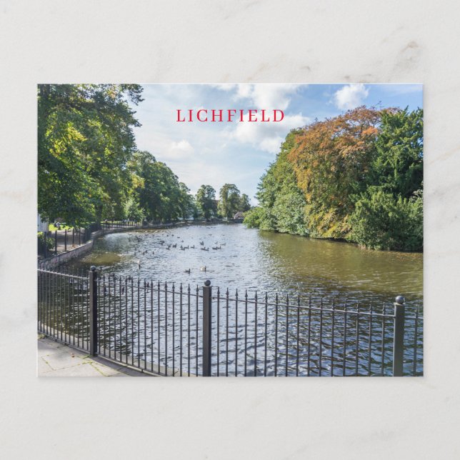 Lichfield Minster Pool-vy vykopplat vykort (Framsida)