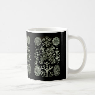 Lichon Kaffemugg