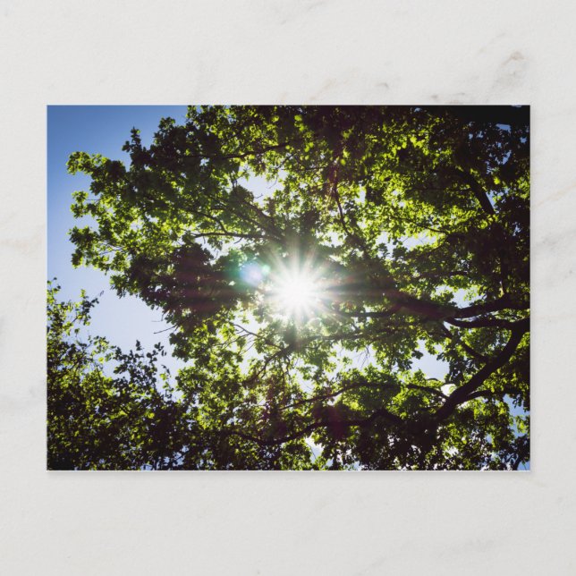 Lichtthalter Vykort (Framsida)