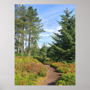 Lickey Backe Poster