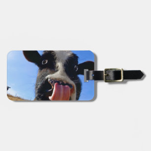 Lickin ko bagagebricka