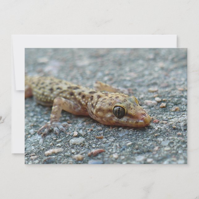 Lidarinbjudan Inbjudningar (Framsida)