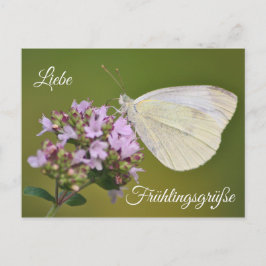 Liebe Frühlingsgrüße Vykort