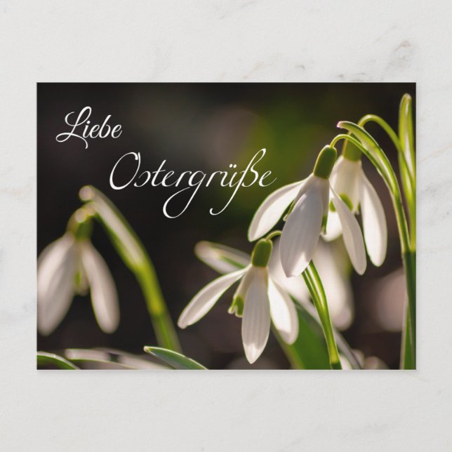 Liebe Ostergrüße aus dem Briefkasten Vykort (Framsida)