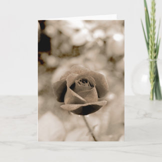 Liebeszauber skapelse mig - kort