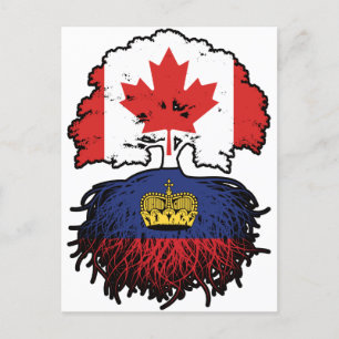 Liechtenstein Liechtensteiner Canadian Träd Vykort