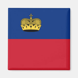 Liechtensteinsk medborgarevärldsflagga magnet