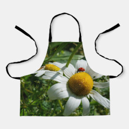 Lieveheersbeestje op margriet in de natuur.