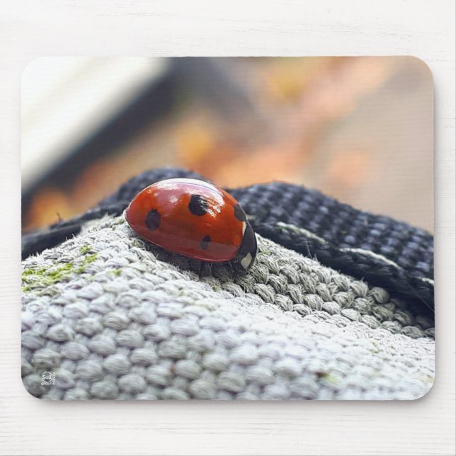 Lieveheersbeestje symbool tegen geweld. musmatta (Framsidan)