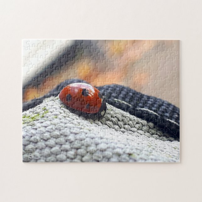 Lieveheersbeestje symbool tegen geweld. pussel (Horisontell)