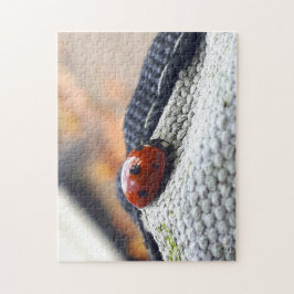 Lieveheersbeestje symbool tegen geweld. pussel