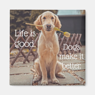 Life är Bra Hund Magnet