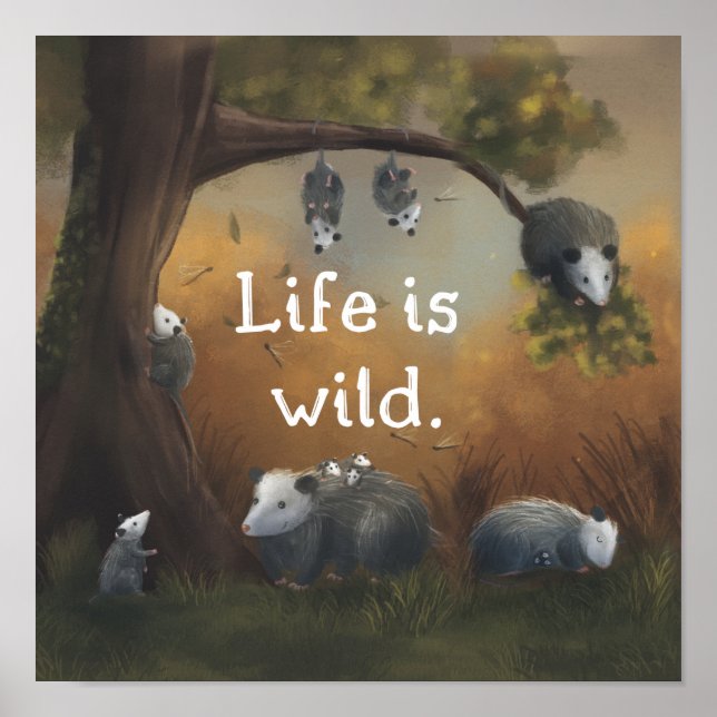 Life är Vild Opossum Opposites Poster (Framsidan)