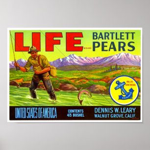 Life Brand Bartlett Päron Crate Etikett Schmidt Li Poster