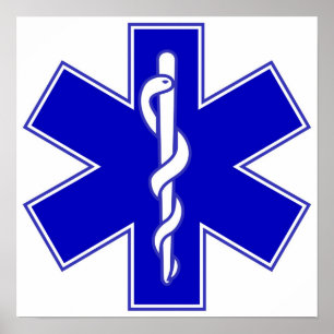 Life-EMS-Poster Poster