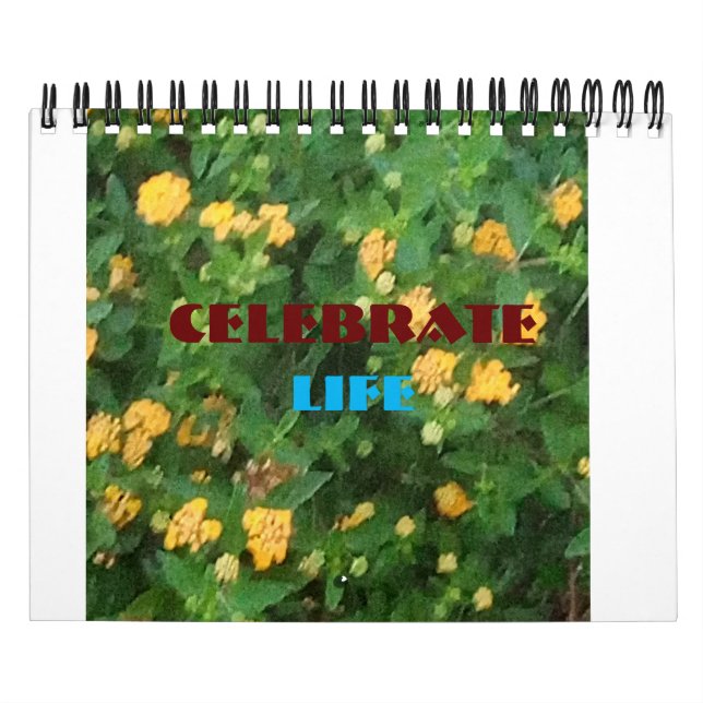 Life firande kalender (Omslag)