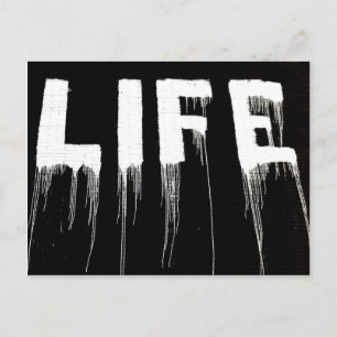 Life Graffiti Drips Vykort