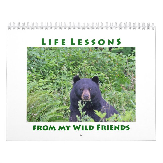 Life Lessons Animal Calendar Kalender (Omslag)