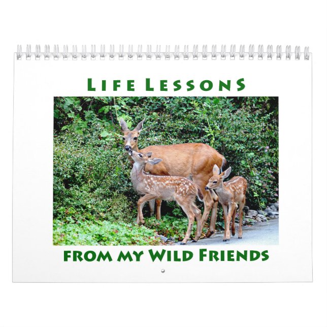 Life Lessons Vild Djurkalender Kalender (Omslag)