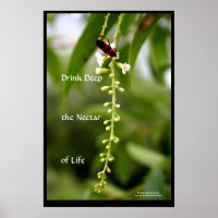 Life-nektar