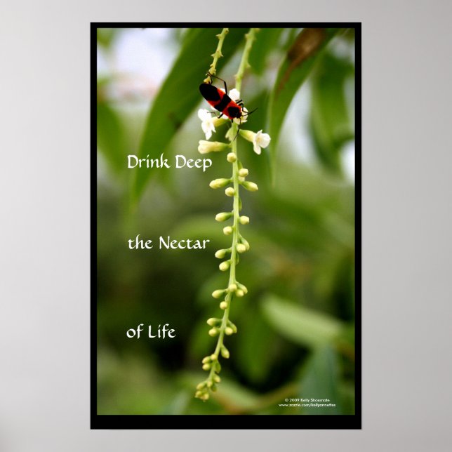 Life-nektar Poster (Framsidan)