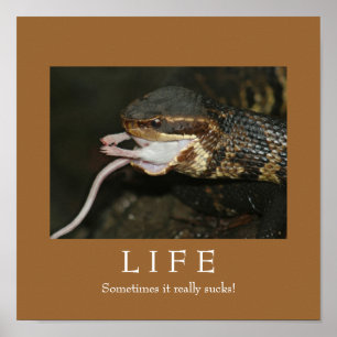 Life Poster