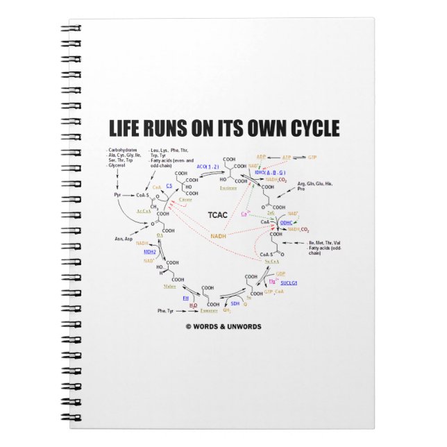 Life Springa på sin egen cykel Krebs Cycle Humor Anteckningsbok Med Spiral (Framsidan)