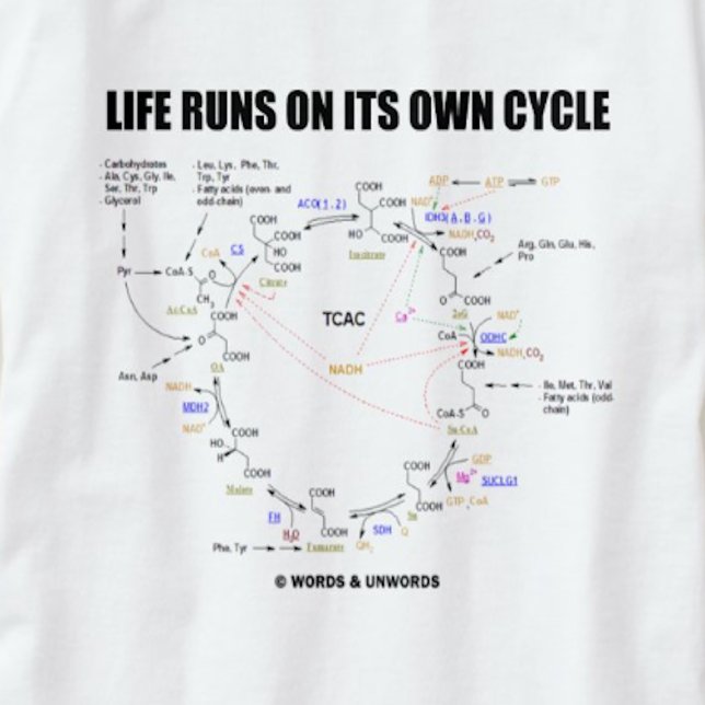 Life Springa under sin egen cykel (kretskscykel -  Tee Shirt (Krebs cycle (citric acid cycle) humor tee with the scientific saying "Life Runs On Its Own Cycle")