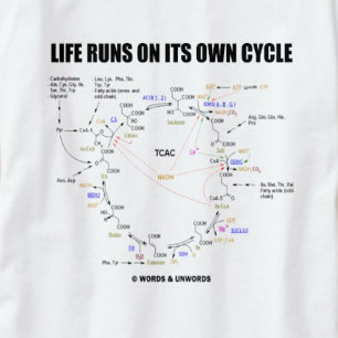 Life Springa under sin egen cykel (kretskscykel -  Tröja