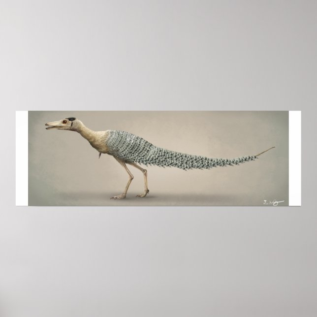 Life Storlek Sackuia Poster (Framsidan)