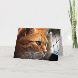 Life Sucks Encouragment Jag är här för dig Kort