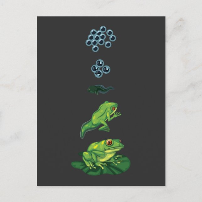 Lifecycle Frog Metamorphosis Egg Tadpole Froglet Vykort (Framsida)