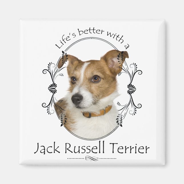 Life's Better Jack Russell Magnet (Framsidan)