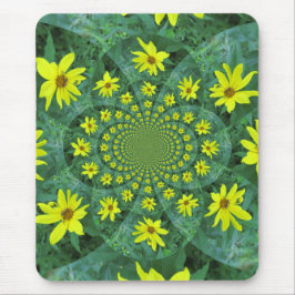 Life's Spin Musmatta