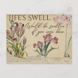 Life's Swell Hummingbird Vintage-Stil Postcards Vykort