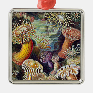 Liffärgning av Haeckel Sea Anemone Ocean Life Paed Julgransprydnad Metall