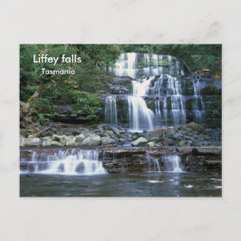 Liffey faller, Tasmania Vykort